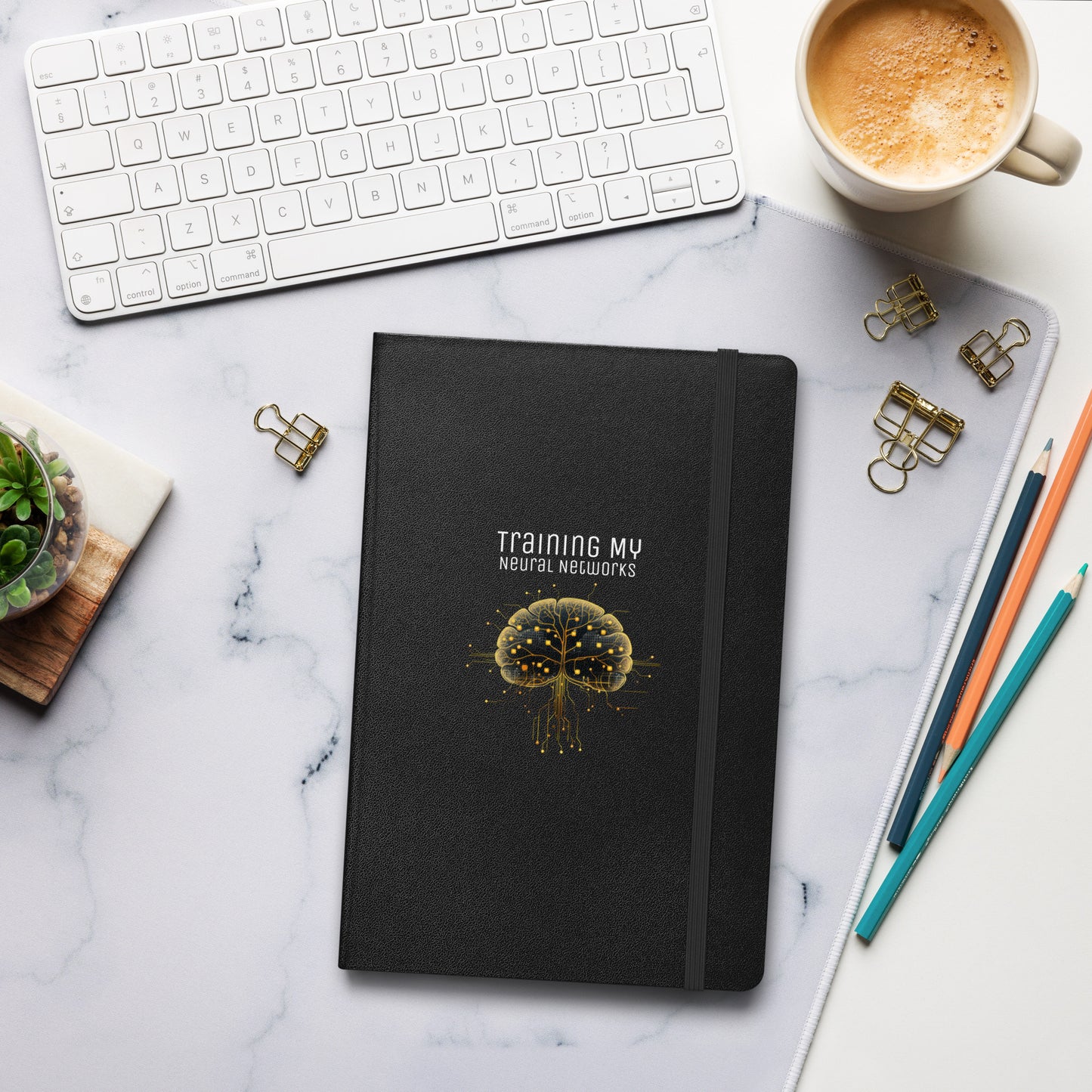Training My Neural Networks Notebook